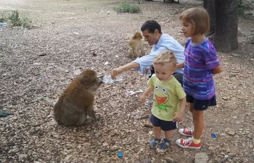 Middle atlas day trip