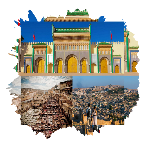 one day guided tour in fes