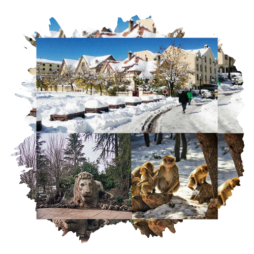 Middle atlas day trip from Fes