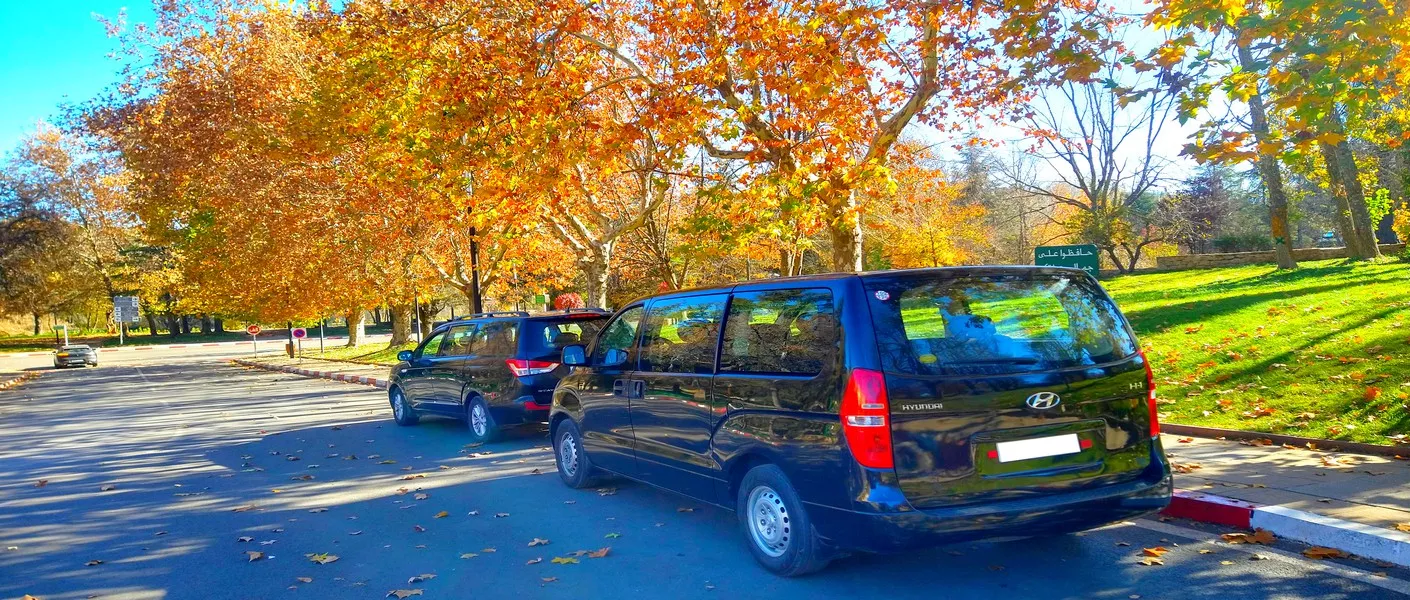 Airport transfer service and transfers between the cities